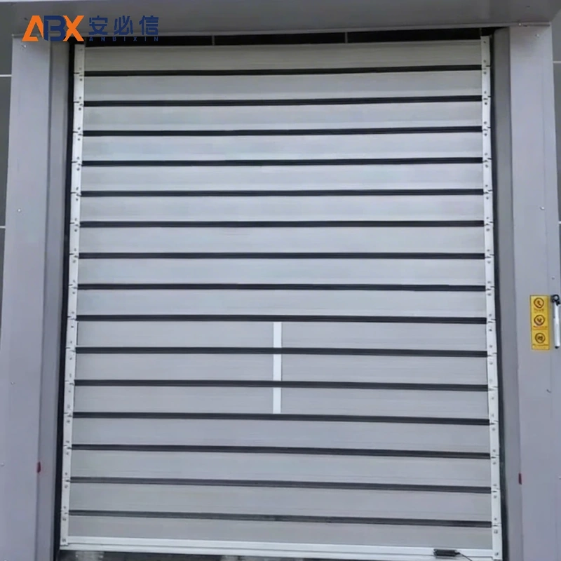 丽水感应高速门